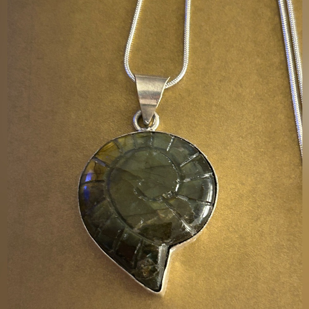 NWOT Necklace Flashy Labradorite Stone cut like an Ammonite fossil .925 sp.chain